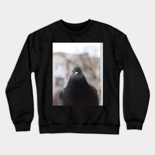 Pigeon Crewneck Sweatshirt